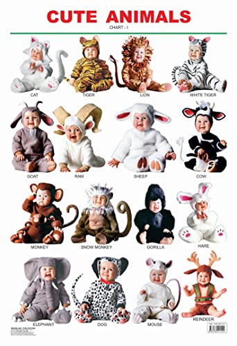 Cute Animals - 1 book cover