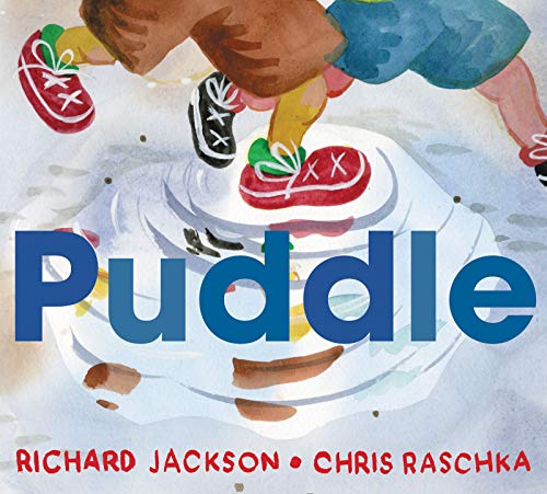PUDDLE book cover
