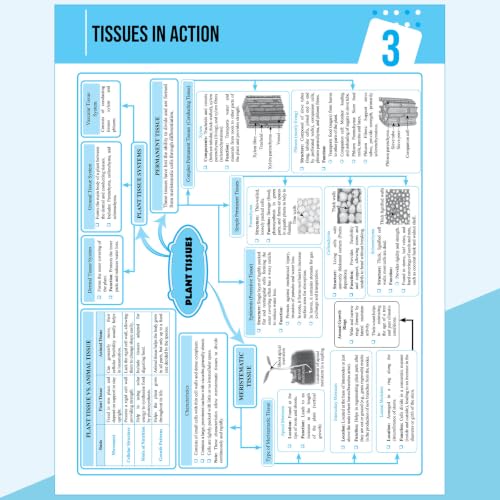 PW New NCERT Class 9 Science Exploration Textbook Solutions with Mind Maps 2026-27 | Revision Book, Solved NCERT Intext Solutions and End Exercises