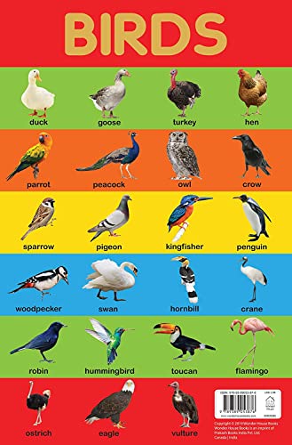 Birds Chart - Early Learning Educational Chart For Kids: Perfect For Homeschooling, Kindergarten and book cover