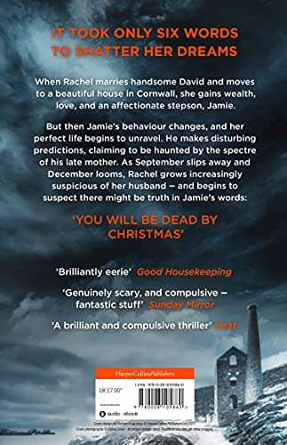 The Fire Child: The gripping psychological thriller from the bestselling author of The Ice Twins