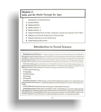 TOP NIOS Social Science Guide Class 10 (T-213)