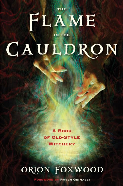 The Flame in the Cauldron book cover