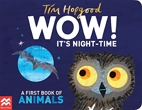 WOW! Its Night-time book cover