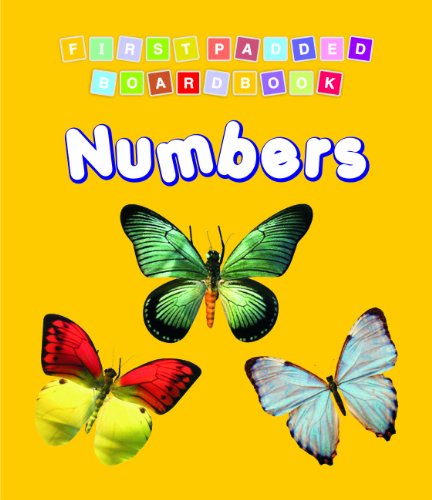First Padded Board Book - Numbers book cover