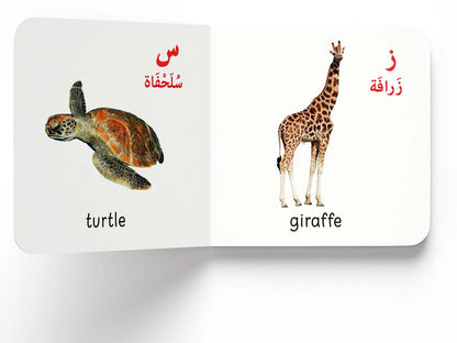 My First English-Arabic Learning Library: Bilingual Boxset of 10 Picture Board Books for Kids - Covers Basic Concepts and Everyday Topics
