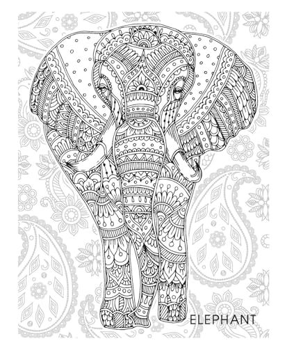 Animals & Birds Creative Doodle Colouring Book for Beginners and Adults | Intricate Wildlife Patterns for Relaxation and Creativity | Printed on High-Quality Paper for Pencil, Gel Pen & Marker Use