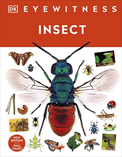 EW: Insect book cover