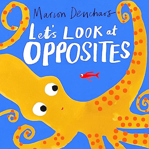Lets Look at... Opposites book cover