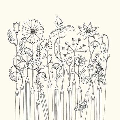 World of Flowers: A Colouring Book and Floral Adventure