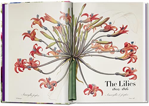 Taschen Bk Of Flowers