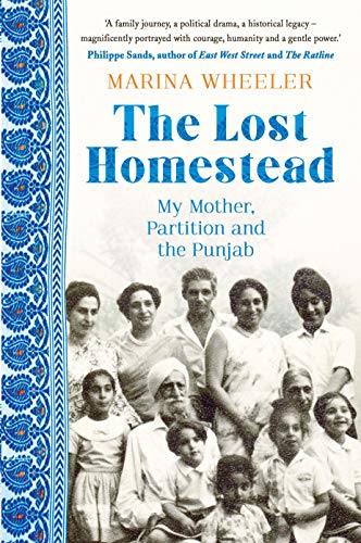 The Lost Homestead book cover