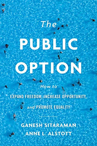 The Public Option book cover
