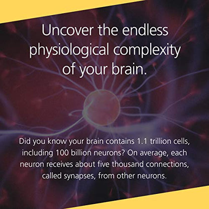 Buddha's Brain: The Practical Neuroscience of Happiness, Love & Wisdom