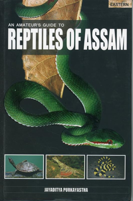An Amateur's Guide to Reptiles of Assam book cover
