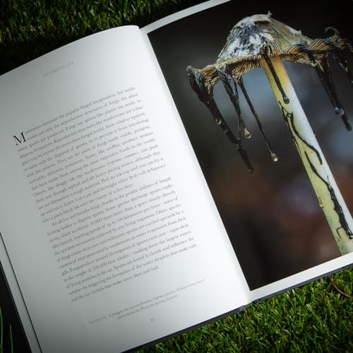 Entangled Life (The Illustrated Edition)