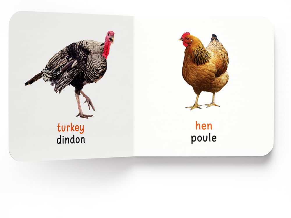 My First Book of Birds - Oiseaux : My First English French Board Book (English - Francais)