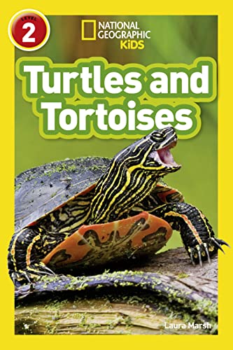 TURTLES AND TORTOISES book cover
