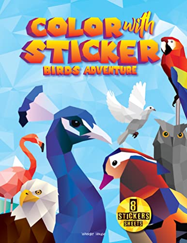 Color with sticker Birds Adventure book cover