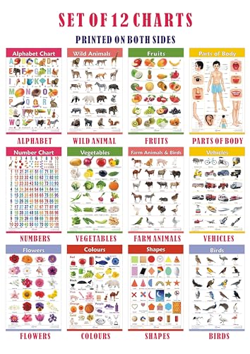 VCP Early Learning Educational Chart Set for Kids | Set of 12 LAMINATED Paper Charts (Printed on Both Sides) | Non-Tearable and Waterproof | Size : 31 x 46 cm | Alphabet, Numbers, Animals..