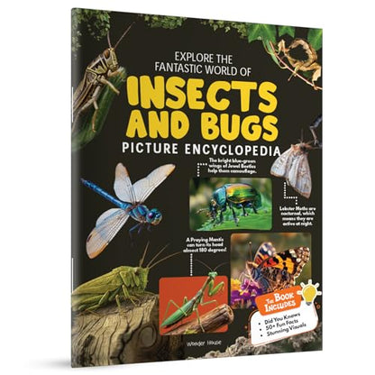 Explore Fantastic World of Insects And Bugs Picture Encyclopedia