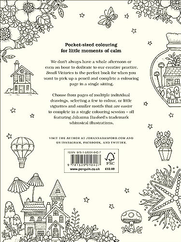 Small Victories: A Colouring Book of Little Wins and Miniature Masterpieces