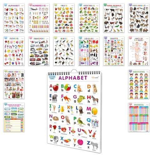 My First ALL IN ONE SPIRAL CHART : With 16 Topics ( Big Fonts and Realistic Pictures) | Gift Set For Kids