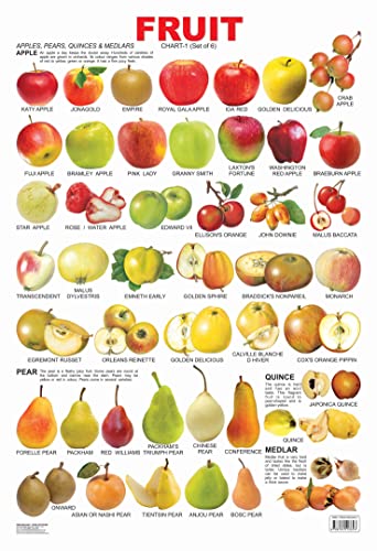 Fruit Chart - 1 book cover