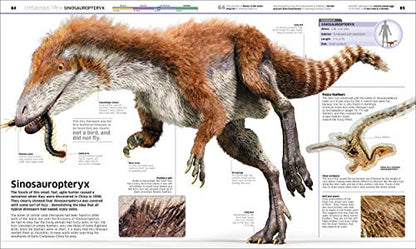 Knowledge Encyclopedia Dinosaur! An Illustrated Encyclopedia for Kids on Dinosaurs Extinction, Fossils, Prehistoric Life & Evolution