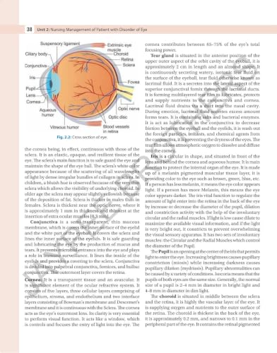Adult Health Nursing-II: Medical Surgical Nursing, 2/E for BSc Nursing 4th Semester Students | As per Revised INC Syllabus with Comparative Tables, Colour Illustrations, PYQ MCQs and Flash Cards