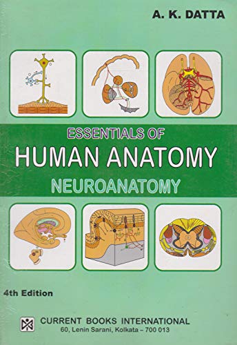 ESSENTIALS OF HUMAN ANATOMY VOLUME 4 NEUROANATOMY 4ED (PB 2025)
