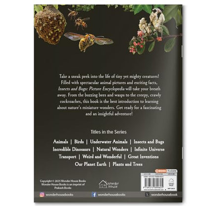 Explore Fantastic World of Insects And Bugs Picture Encyclopedia