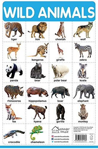 Wild Animals - My First Early Learning Wall Chart: For Preschool, Kindergarten, Nursery And Homescho book cover