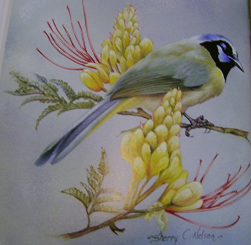 Painting Songbirds with Sherry C. Nelson book cover