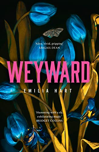 WEYWARD book cover
