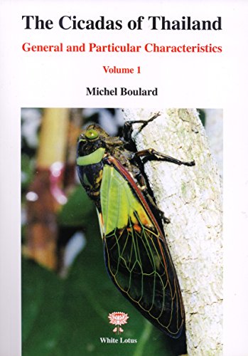 Cicadas of Thailand Vol.1 book cover