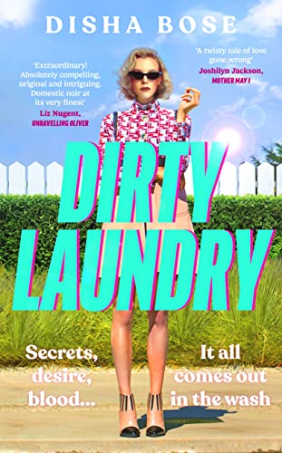 Dirty Laundry book cover