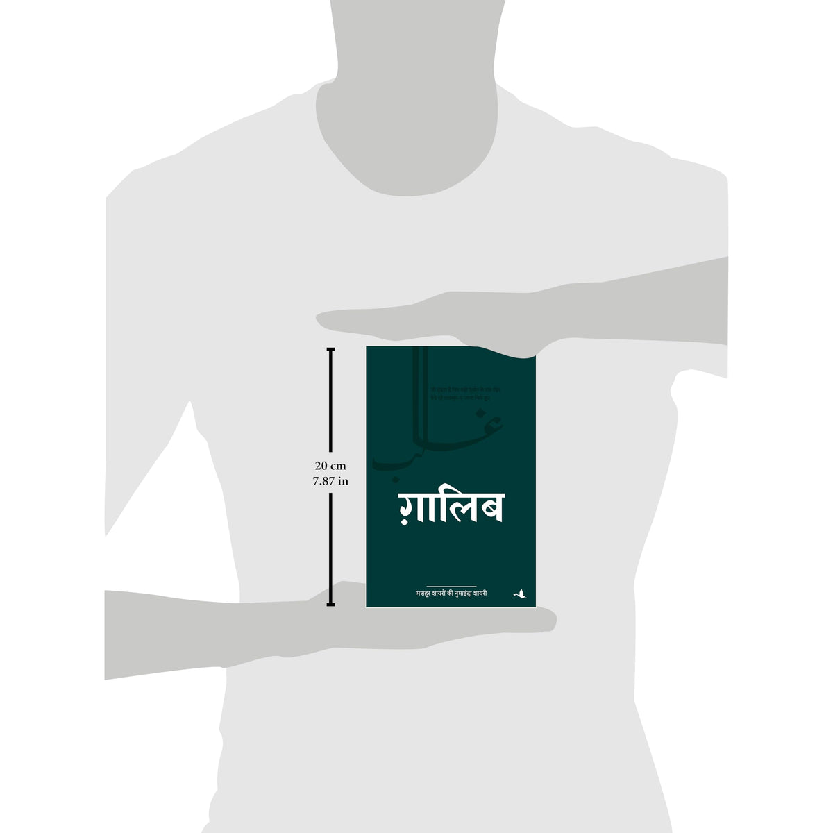 Ghalib (Hindi)