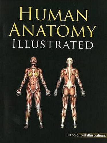 HUMAN ANATOMY ILLUSTRATED book cover