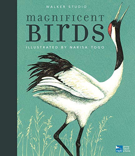 Magnificent Birds (Walker Studio imprint) book cover