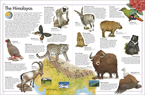 The Animal Atlas: A Pictorial Guide to the World's Wildlife
