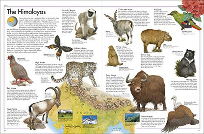 The Animal Atlas: A Pictorial Guide to the World's Wildlife