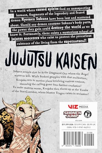 JUJUTSU KAISEN V23: Volume 23