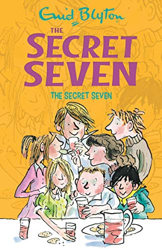 Secret Seven: 1 book cover