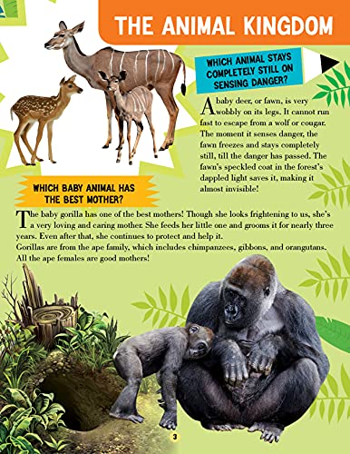 Animal World Children Encyclopedia for Kids Age 5–15 Years | Illustrated Animal Encyclopedia with Fun Facts, Trivia Questions & Answers | Learn About Wildlife, Sea Creatures, Birds, Mammals, Insects, Reptiles & Amazing Animal Kingdom Discoveries