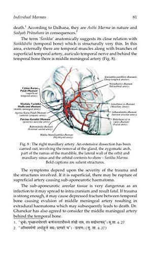Anatomy of Marma (Vital Parts or Organs)