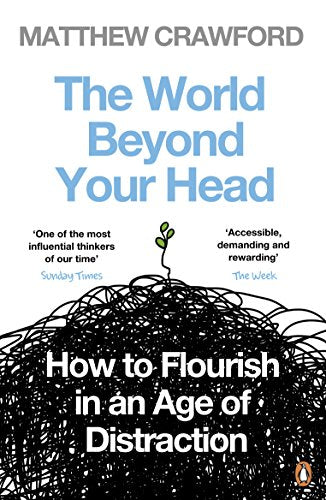 The World Beyond Your Head book cover