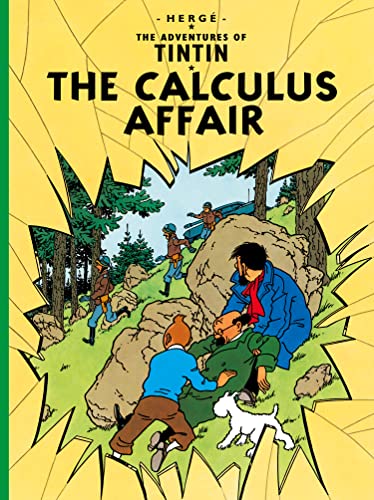 Calculus Affair -4 book cover