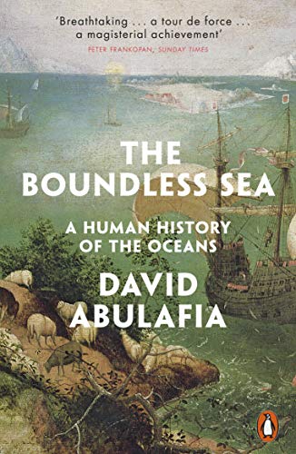 The Boundless Sea book cover