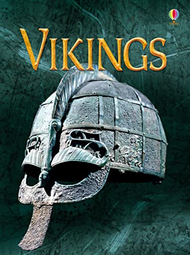 VIKINGS - BEGINNERS book cover